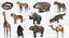 Coleção Animais Africanos 8