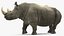 Coleção Animais Africanos 8