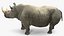 Coleção Animais Africanos 8