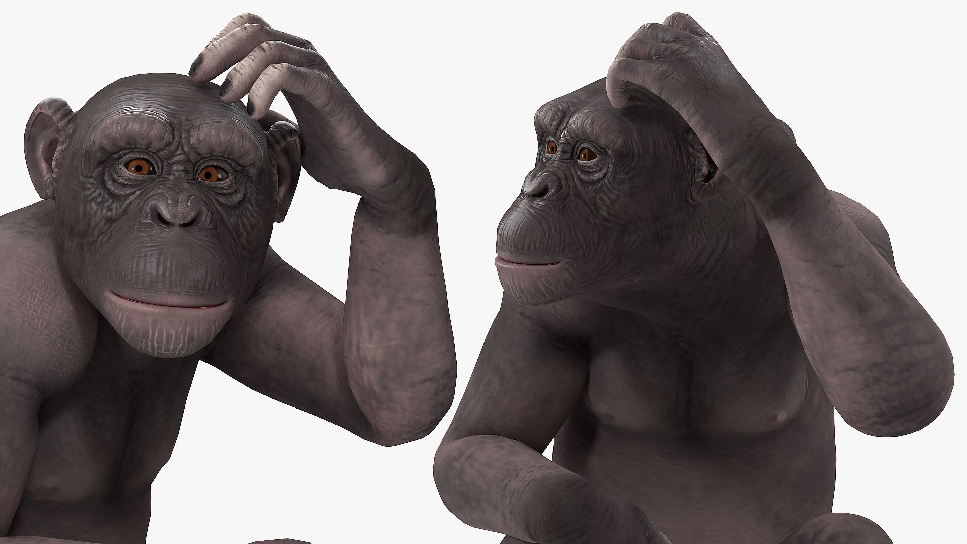 3D african animals 8 model https://p.turbosquid.com/ts-thumb/sw/Oxt9qB/n5/africananimalscollection8vray3dmodel030/jpg/1611562875/1920x1080/fit_q87/0c2f6ff5ab236b9585ff35eb3655c1aa04225503/africananimalscollection8vray3dmodel030.jpg