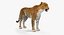 Coleção Animais Africanos 8