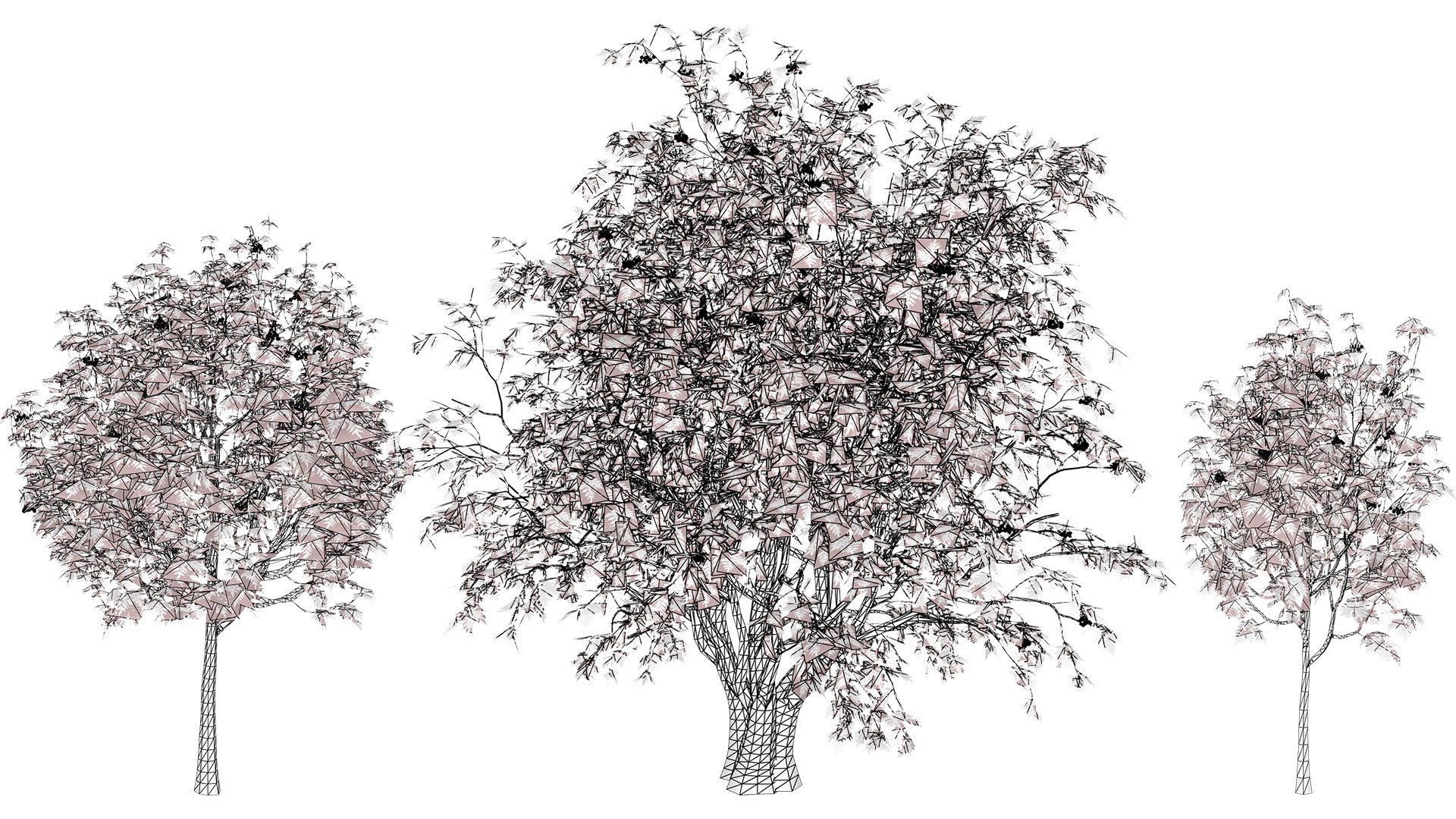 Rowan Tree 3D Model Collection model https://p.turbosquid.com/ts-thumb/sw/a8gLXV/Tc/wirel/jpg/1754919849/1920x1080/fit_q87/2be2646c55abd29aa269e7cdafb9767238288ab9/wirel.jpg