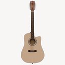 Twelve Strings Acoustic Guitar PBR