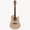 Twelve Strings Acoustic Guitar PBR