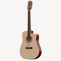 Twelve Strings Acoustic Guitar PBR