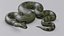 python reptiles boa 3D