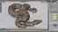 python reptiles boa 3D
