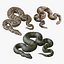 python reptiles boa 3D