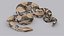 python reptiles boa 3D