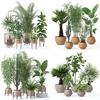 20 Photorealistic Flowers for Interiors - set 126 129 136 137