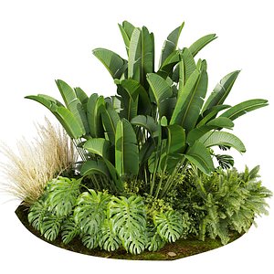 3D plant vol 840 - garden - landscape design - backyard model