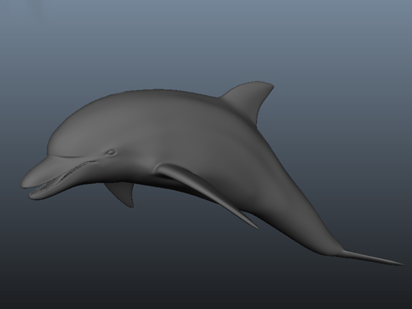 3d Dolphin Model