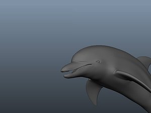 3d dolphin model