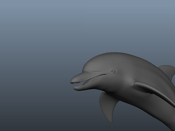 イルカモデリング3Dモデル - TurboSquid 803003