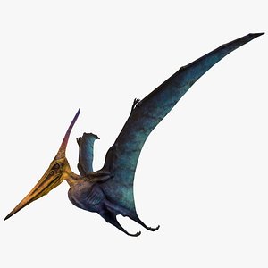Pteranodon Longiceps Cyan Rigged
