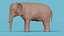 Elefante Asiático com liquidificador