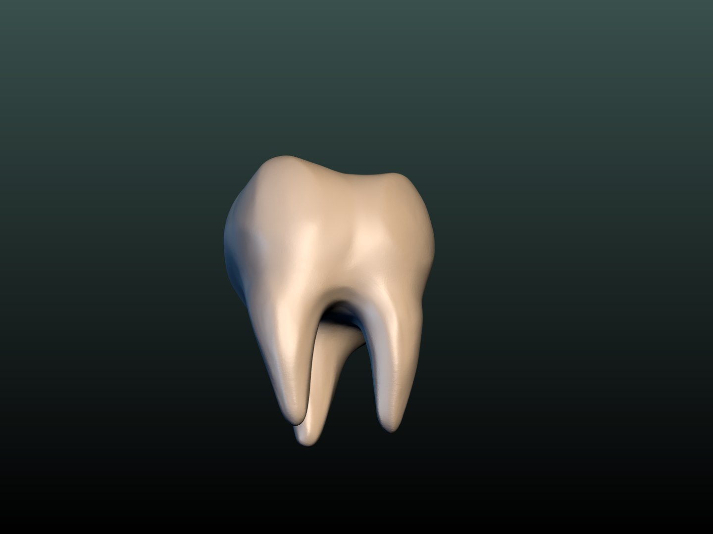 Tooth 3D Model - TurboSquid 1269379