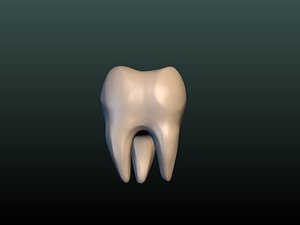 tooth 3D model