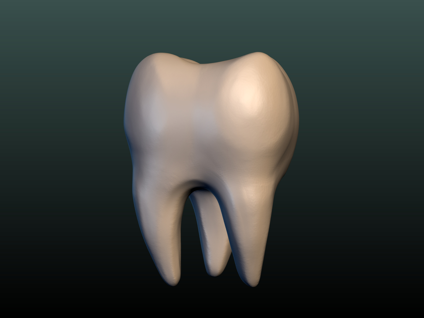 Tooth 3D Model - TurboSquid 1269379