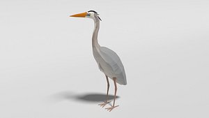 Low Poly Cartoon Great Blue Heron