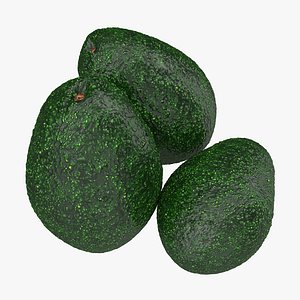 3ds avocado modeled nature