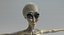 Female Grey Alien 2 3D