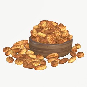Almond Realistic 3D model