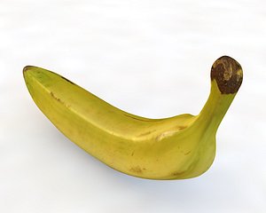 3D plantain model