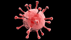 3D corona virus covid-19 model