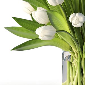 realistic tulips 3d max