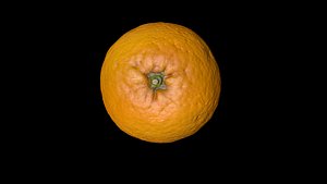 3D orange scan