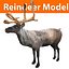 Rentier Low-Poly-Modell