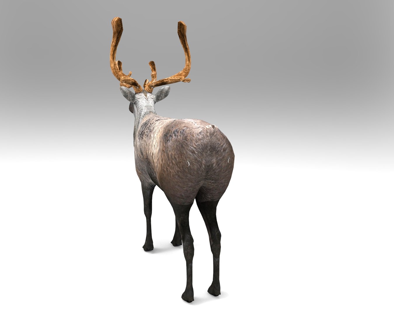 reindeer deer 3D model https://p.turbosquid.com/ts-thumb/sy/SdoUna/OiZZQrnW/untitled.162/jpg/1506506586/1920x1080/fit_q87/94f9baa29cc92293af65405386973ed2265b990c/untitled.162.jpg