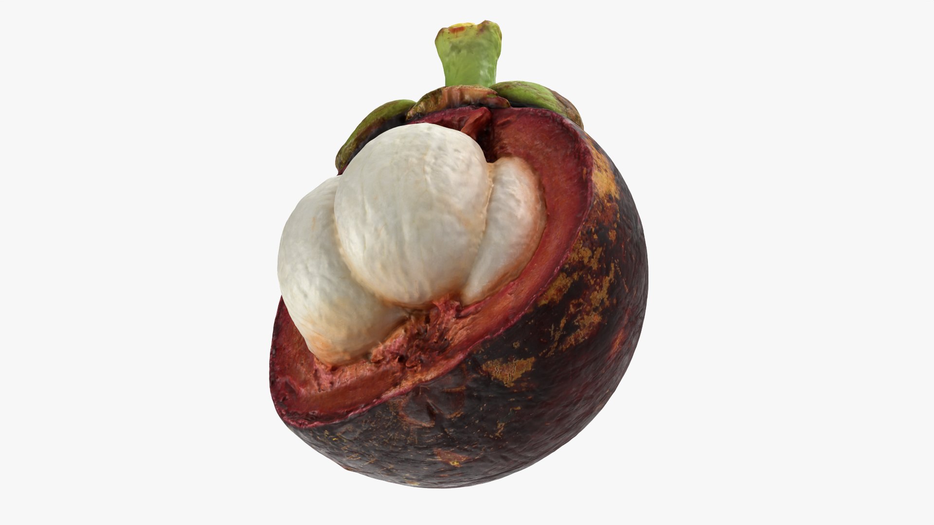 3D Mangosteen Collection model https://p.turbosquid.com/ts-thumb/sy/Uxze31/5b/mangosteencut02_0011/png/1766557220/1920x1080/fit_q87/f15d49b3c473cf5696b1a01b451ba0f3c0ec1438/mangosteencut02_0011.jpg
