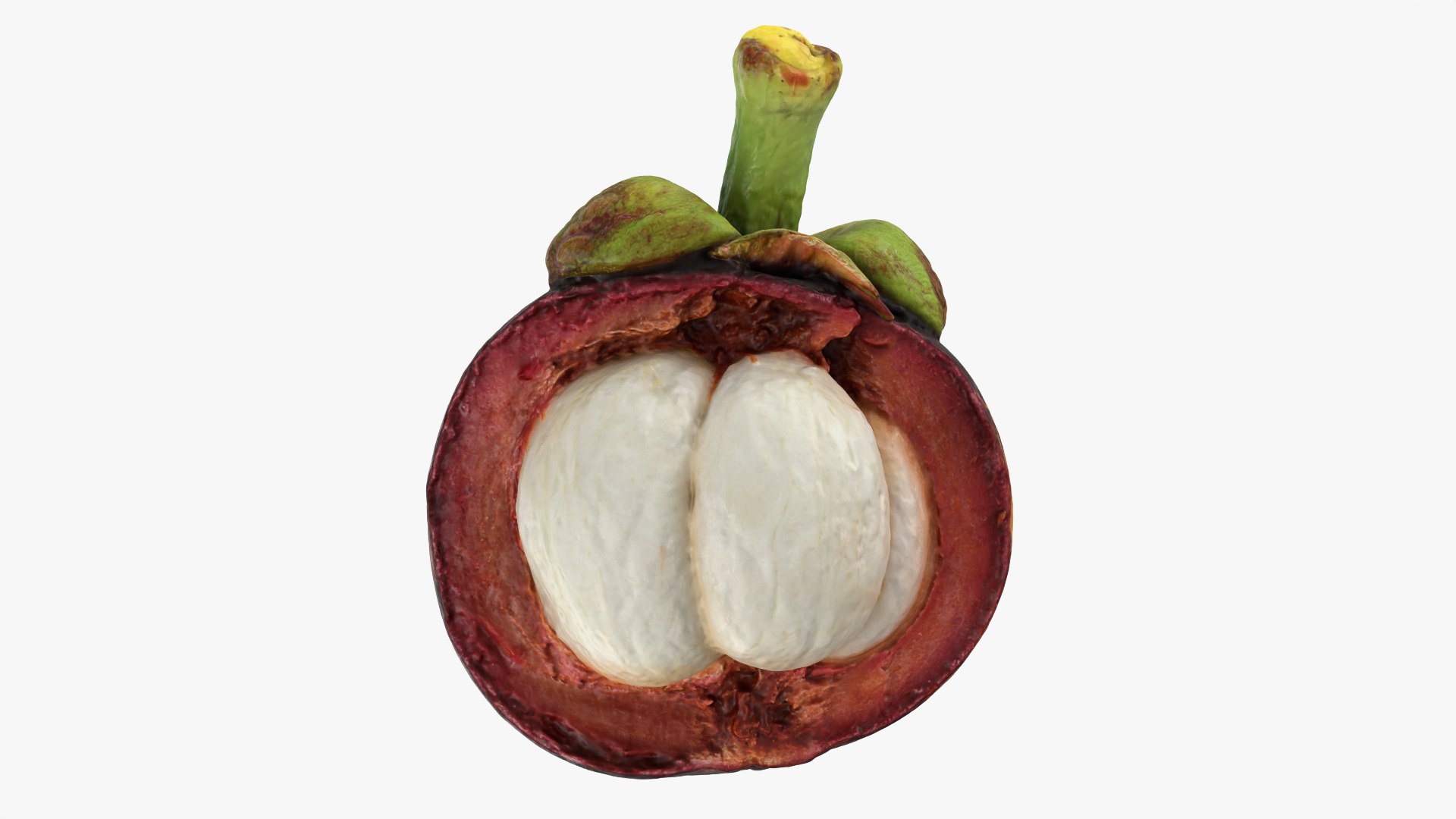 3D Mangosteen Collection model https://p.turbosquid.com/ts-thumb/sy/Uxze31/Du/mangosteencut02_0001/png/1766557216/1920x1080/fit_q87/38533600c73050c604b097efbd3cc9be6456da99/mangosteencut02_0001.jpg