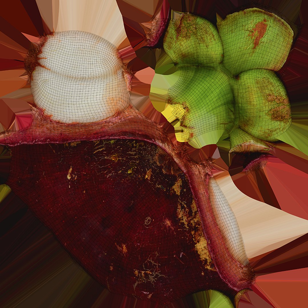3D Mangosteen Collection model https://p.turbosquid.com/ts-thumb/sy/Uxze31/GQ/mangosteencut02_c0004/png/1766557219/1920x1080/fit_q87/06279486647671f0890a33d013f613d8d8244d8d/mangosteencut02_c0004.jpg
