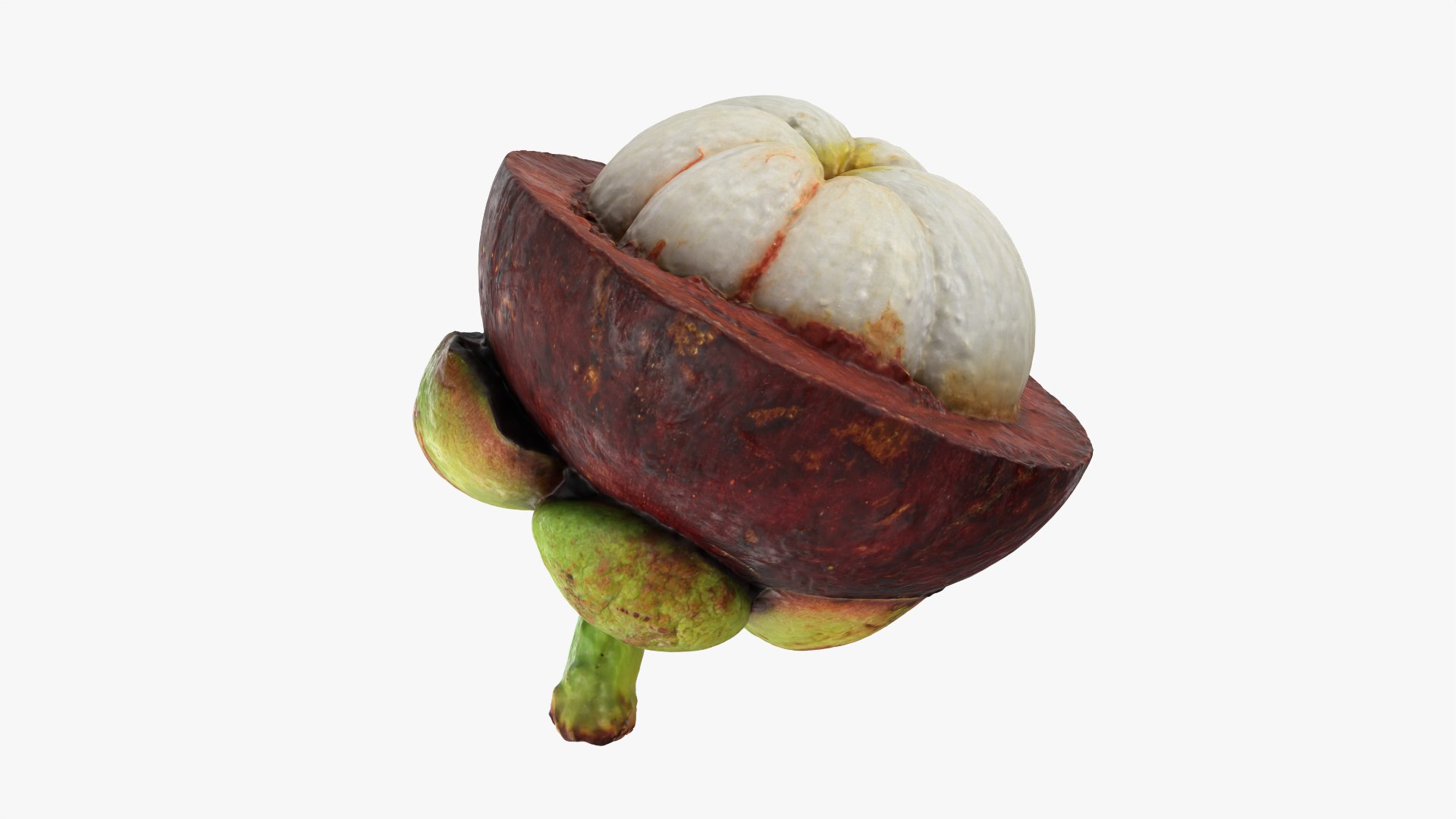 3D Mangosteen Collection model https://p.turbosquid.com/ts-thumb/sy/Uxze31/Ii/mangosteencut01_0001/png/1766557146/1920x1080/fit_q87/a415b7f677e844e208710cba9ab65be178289982/mangosteencut01_0001.jpg