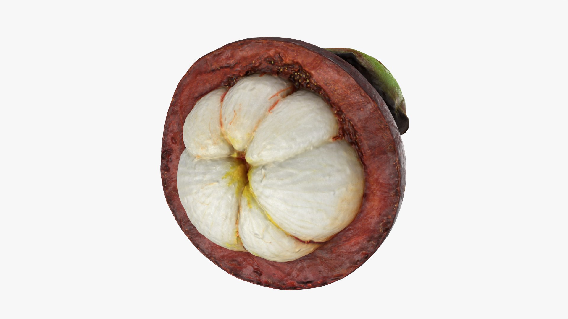 3D Mangosteen Collection model https://p.turbosquid.com/ts-thumb/sy/Uxze31/UW/mangosteencut01_0002/png/1766557147/1920x1080/fit_q87/aa92561756c9bd13a984efd47292000c4d8e2a9f/mangosteencut01_0002.jpg