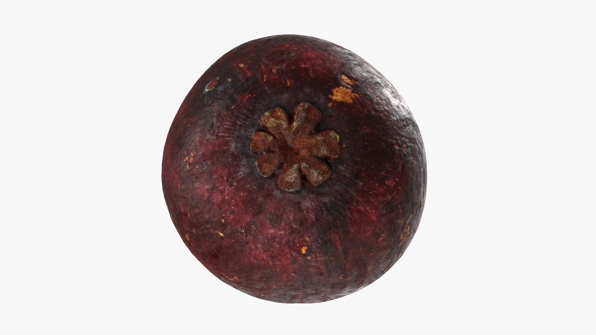 3D Mangosteen Collection model https://p.turbosquid.com/ts-thumb/sy/Uxze31/e2/mangosteencut03_0008/png/1766557168/1920x1080/fit_q87/f0a40b545c69f0aaf4ee88572d6a6e9a26da50fb/mangosteencut03_0008.jpg