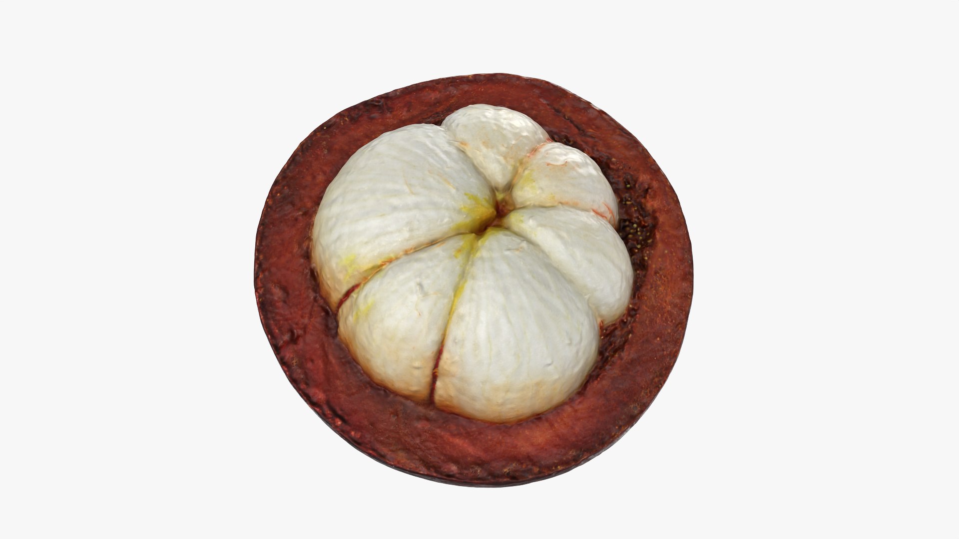 3D Mangosteen Collection model https://p.turbosquid.com/ts-thumb/sy/Uxze31/op/mangosteencut03_0002/png/1766557179/1920x1080/fit_q87/65eaea0dc445d1e396a8fd829a10e40b7dfa83b8/mangosteencut03_0002.jpg