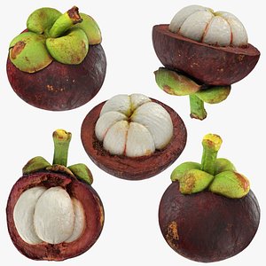 3D Mangosteen Collection model