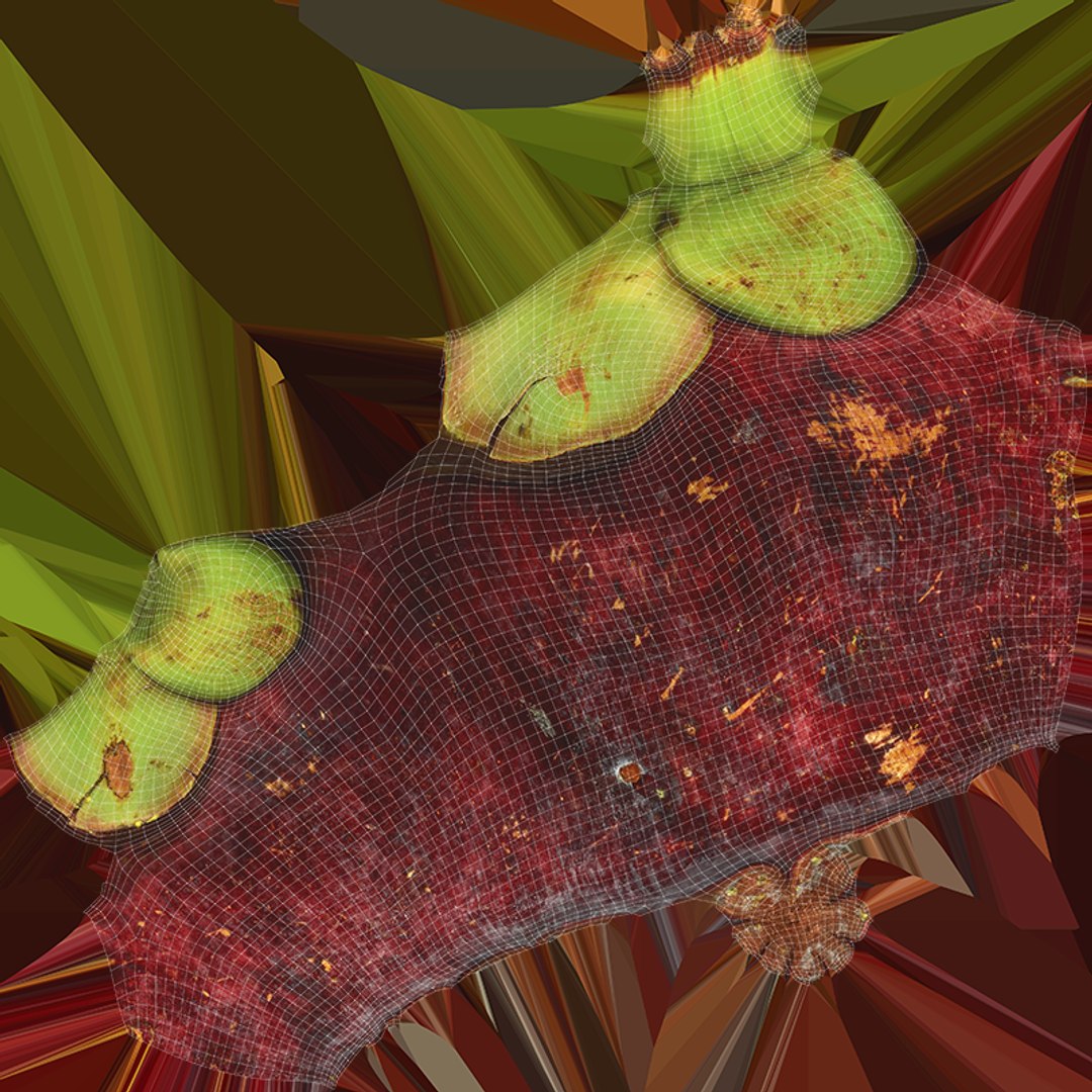 3D Mangosteen Collection model https://p.turbosquid.com/ts-thumb/sy/Uxze31/zK/mangosteen01_c0004/png/1766557072/1920x1080/fit_q87/5d13c39fddf644faf4908c69c7ed8f4fb60e88d0/mangosteen01_c0004.jpg