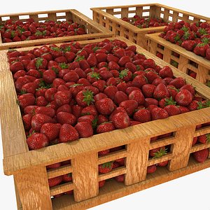 3d plant plantation market model
