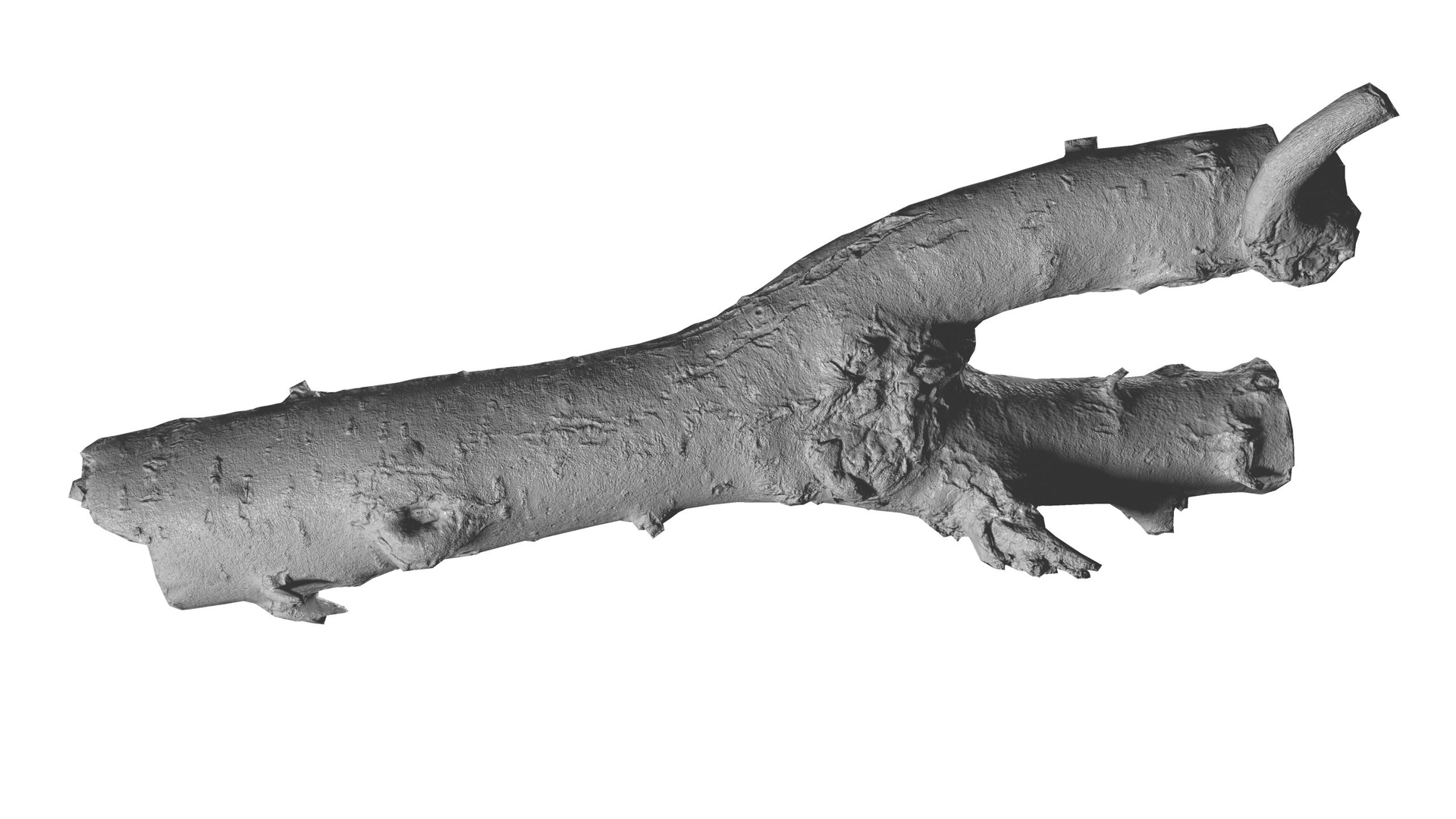 3d Branch Rotten Wood