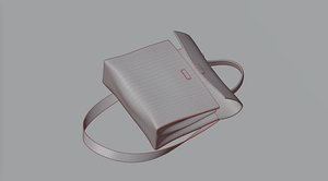 Bag 14 3D model