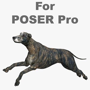 3D greyhound poser