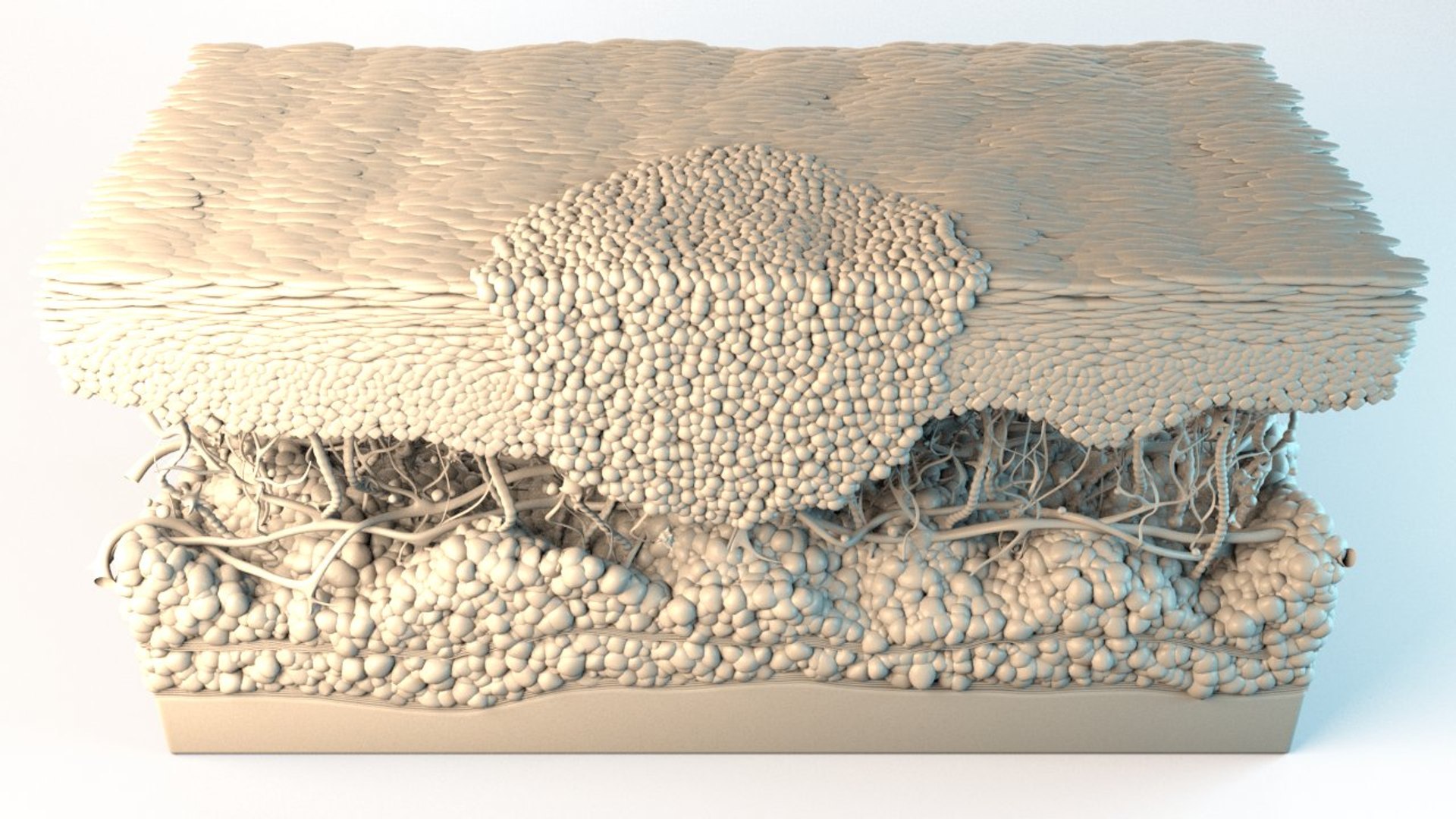 3D skin cancer cells https://p.turbosquid.com/ts-thumb/sy/zEIijm/0WcAbn45/skin_cross_section_carcinoma_cells_r_ao_.rgb_color.0004/jpg/1559584636/1920x1080/fit_q87/583714229d806248258db1f01b669380c372529b/skin_cross_section_carcinoma_cells_r_ao_.rgb_color.0004.jpg