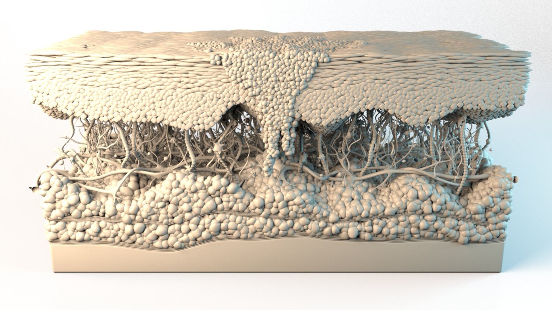 3D skin cancer cells https://p.turbosquid.com/ts-thumb/sy/zEIijm/aI5Dpe0t/skin_cross_section_melanoma_cells_r_ao_.rgb_color.0000/jpg/1559584636/1920x1080/fit_q87/d4ec210de78de16e5ff663f399a0b39a359b2933/skin_cross_section_melanoma_cells_r_ao_.rgb_color.0000.jpg