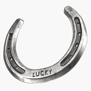Steel Horseshoe