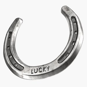 Steel Horseshoe